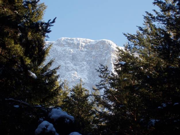 tn_F�lser Weiher Winter2.JPG